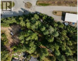 Balfour Avenue Lot# Lot 8, Kaslo, BC V0G1M0 Photo 16