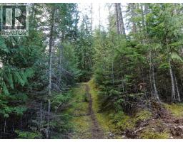 Balfour Avenue Lot# Lot 8, Kaslo, BC V0G1M0 Photo 6
