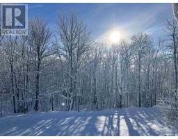 432 Government Rd, Echo Bay, ON P0S1C0 Photo 49