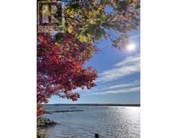 647b Lakeshore Dr, Tarbutt, ON P0R1E0 Photo 24
