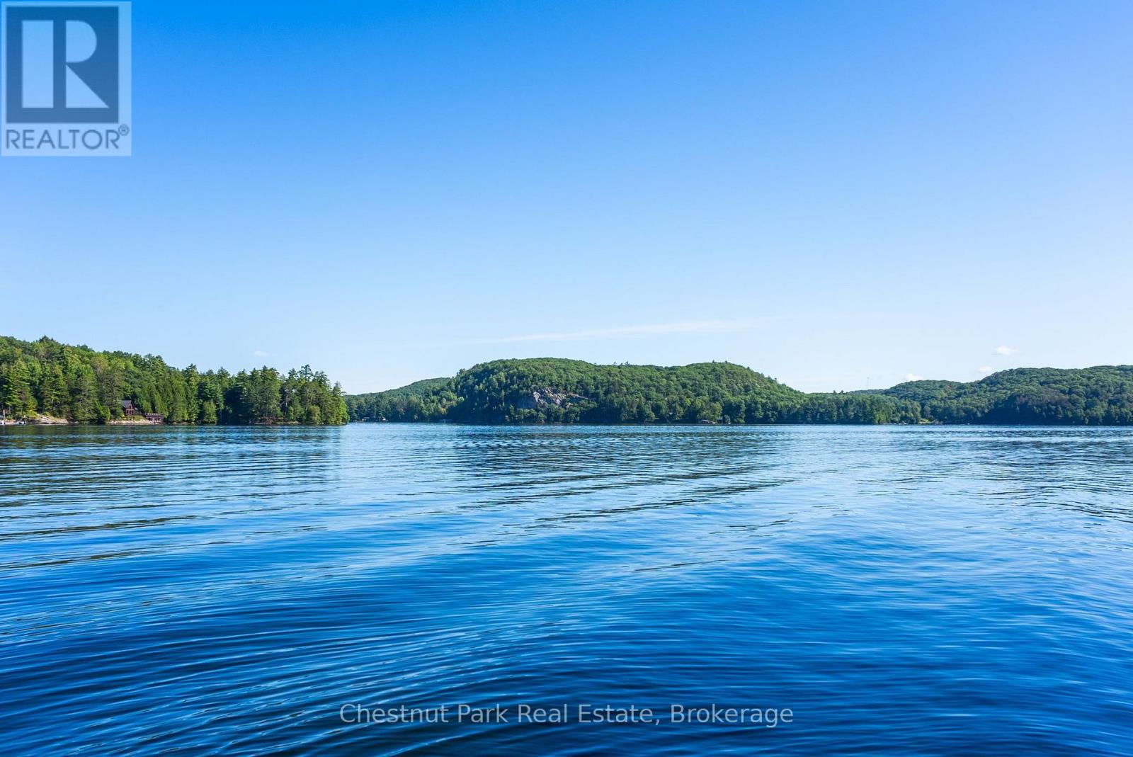 4339 MUSKOKA ROAD 117 ROAD, Lake of Bays (Franklin) — photo 6
