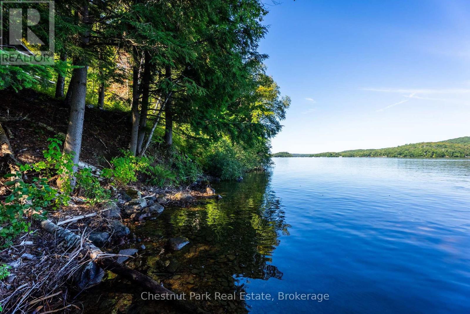 4339 MUSKOKA ROAD 117 ROAD, Lake of Bays (Franklin) — photo 8
