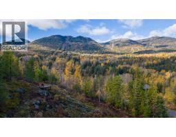 305 Richie Road, Rossland, BC V0G1Y0 Photo 12
