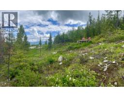 305 Richie Road, Rossland, BC V0G1Y0 Photo 30