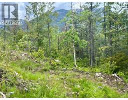 305 Richie Road, Rossland, BC V0G1Y0 Photo 33