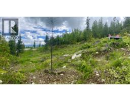 305 Richie Road, Rossland, BC V0G1Y0 Photo 32