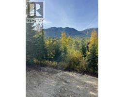 305 Richie Road, Rossland, BC V0G1Y0 Photo 42