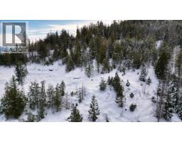 305 Richie Road, Rossland, BC V0G1Y0 Photo 50