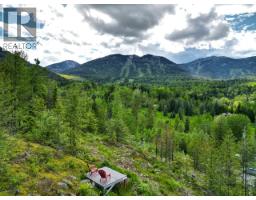 305 Richie Road, Rossland, BC V0G1Y0 Photo 38
