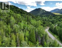 305 Richie Road, Rossland, BC V0G1Y0 Photo 36