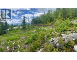 305 Richie Road, Rossland, BC V0G1Y0 Photo 27