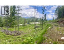 305 Richie Road, Rossland, BC V0G1Y0 Photo 21
