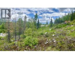 305 Richie Road, Rossland, BC V0G1Y0 Photo 29