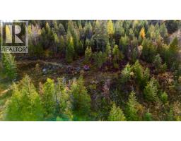 305 Richie Road, Rossland, BC V0G1Y0 Photo 17