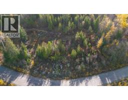 305 Richie Road, Rossland, BC V0G1Y0 Photo 18