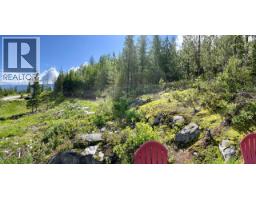 305 Richie Road, Rossland, BC V0G1Y0 Photo 25