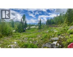 305 Richie Road, Rossland, BC V0G1Y0 Photo 26