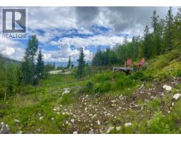305 Richie Road, Rossland, BC V0G1Y0 Photo 28