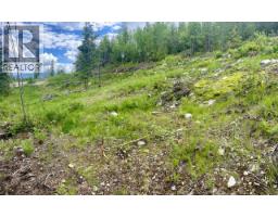 305 Richie Road, Rossland, BC V0G1Y0 Photo 43