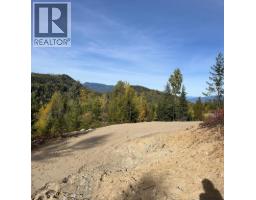 305 Richie Road, Rossland, BC V0G1Y0 Photo 41