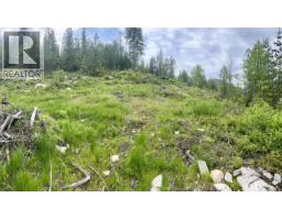 305 Richie Road, Rossland, BC V0G1Y0 Photo 31