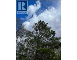 109531 Range Road 175, Rural Mackenzie County, AB T0H1Z0 Photo 44