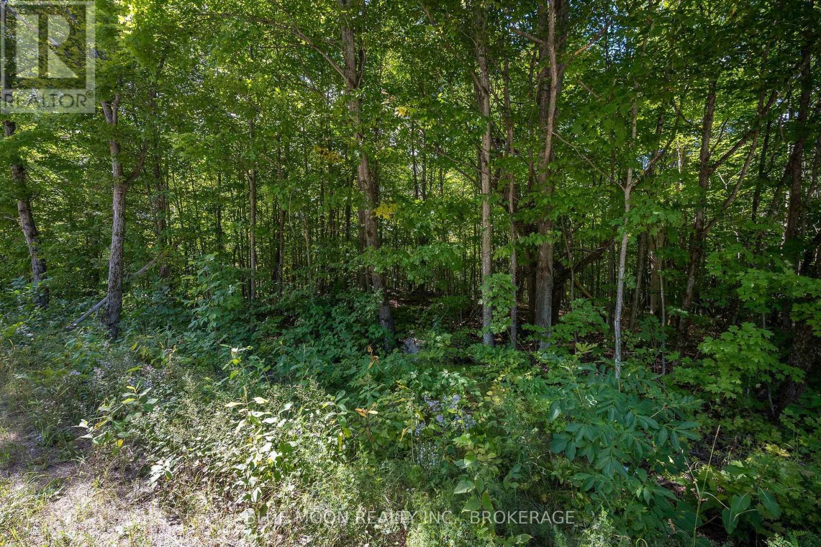 0 MYERS CAVE ROAD, North Frontenac — photo 3