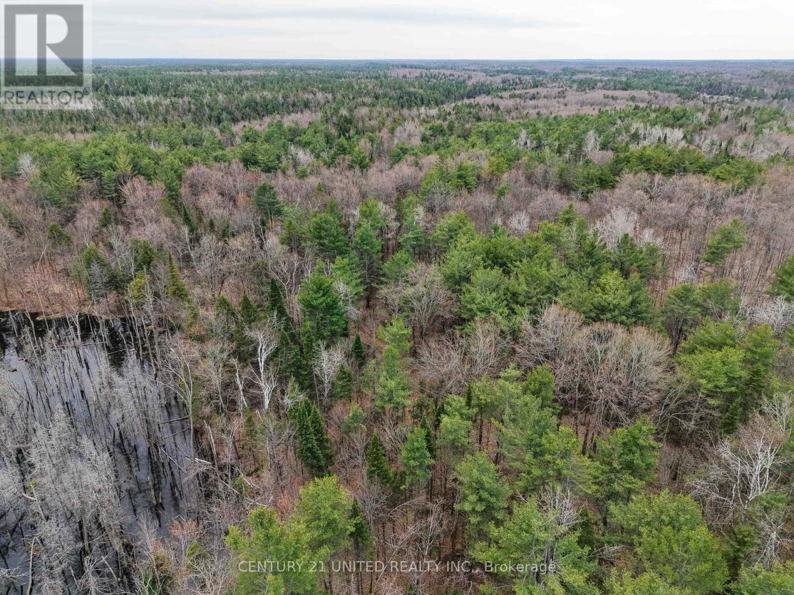 9559 HWY 28, North Kawartha — photo 6