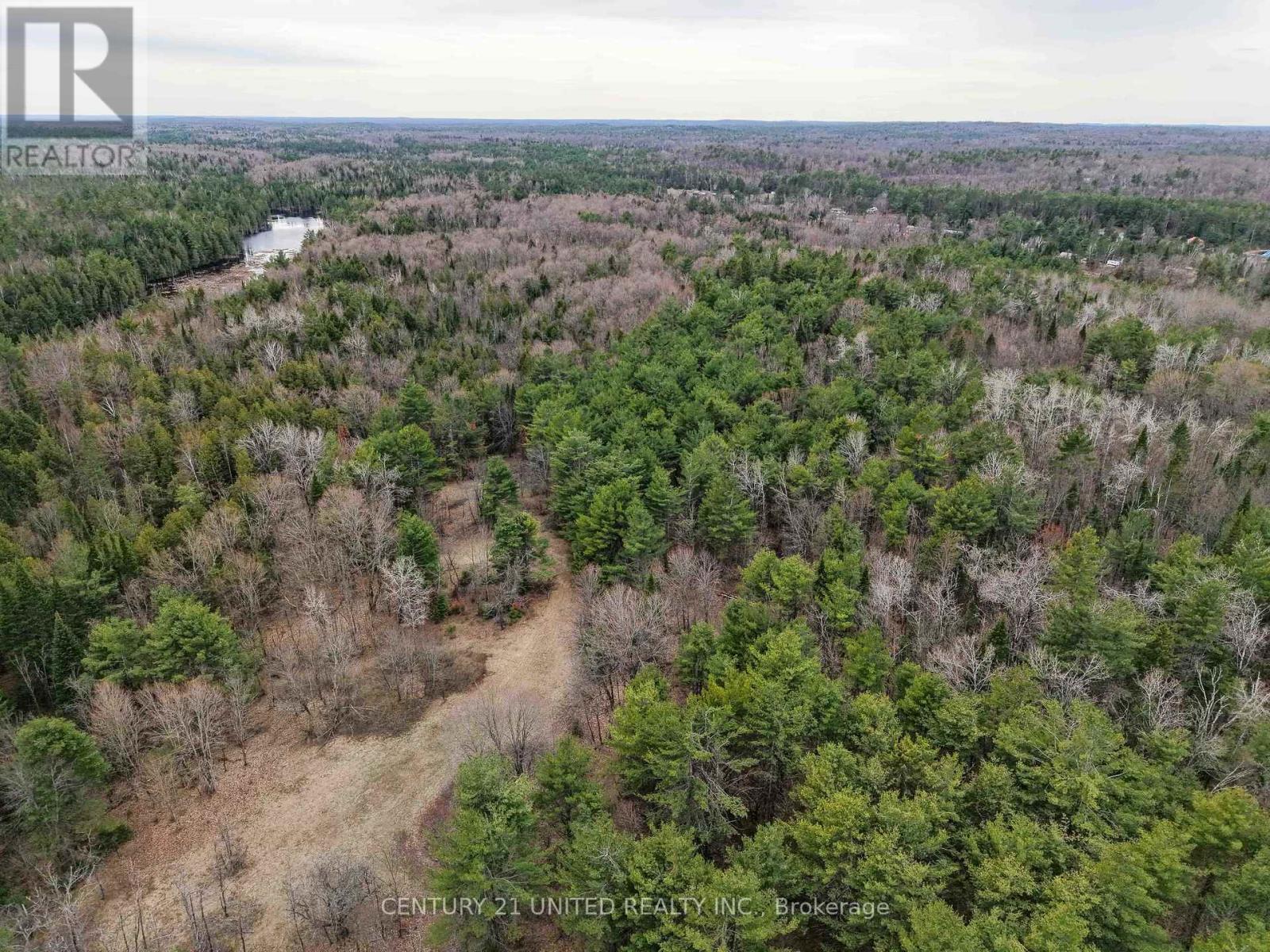 9559 HWY 28, North Kawartha — photo 7