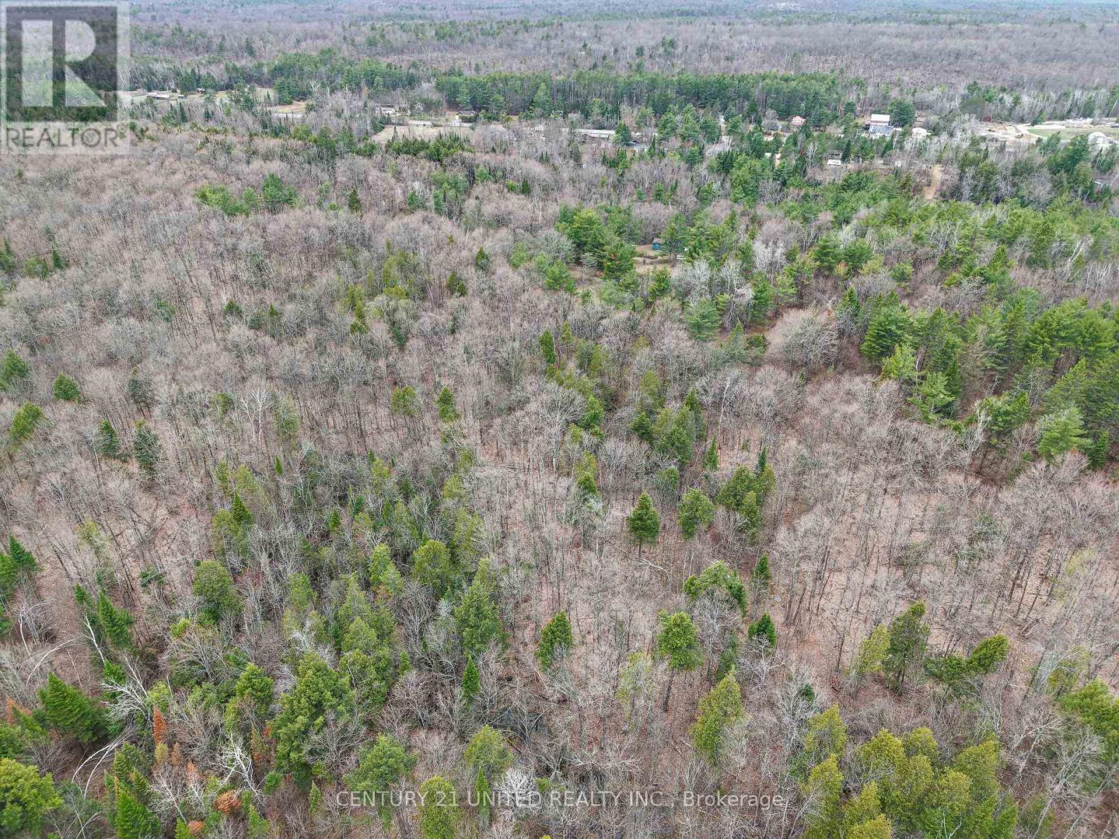 9559 HWY 28, North Kawartha — photo 8