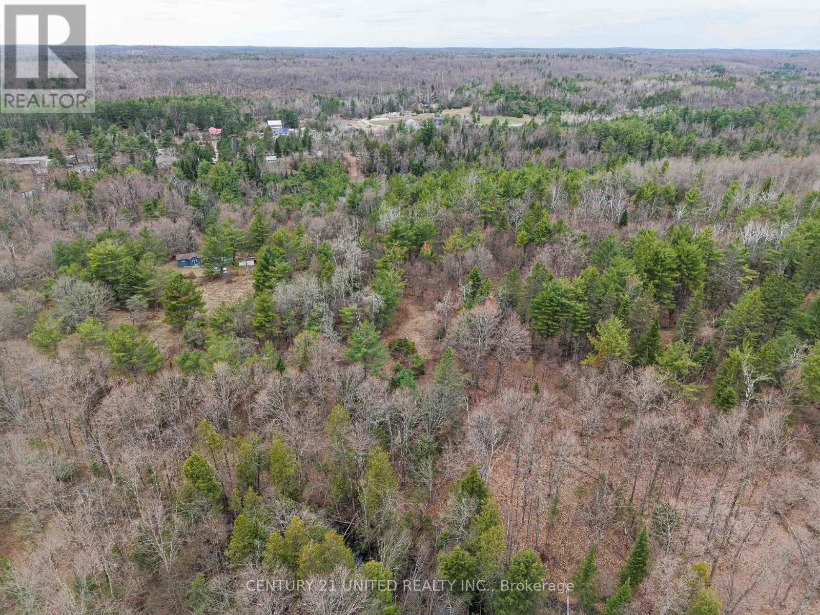 9559 HWY 28, North Kawartha — photo 9
