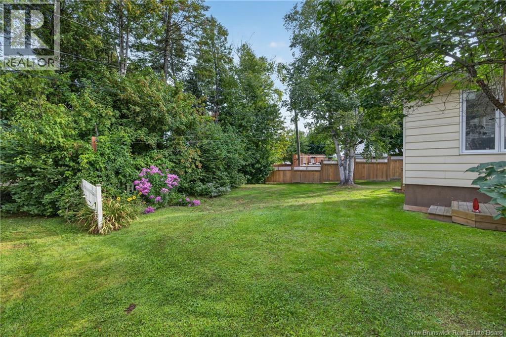 11 Walker Crescent, Campbellton — photo 5