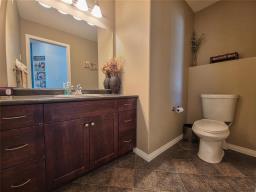 43 Lakeview Drive, Brandon, MB R7B4G9 Photo 18
