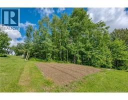 336 Portage, Grand Sault/grand Falls, NB E3Z1M7 Photo 22