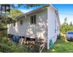 100 Track Road, Horse Chops, NL A0A1P0 Photo 18