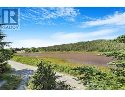 100 Track Road, Horse Chops, NL A0A1P0 Photo 22