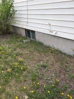 175 Waddell Avenue W, Dominion City, MB R0A0H0 Photo 16