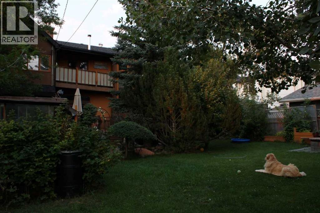 Photo 49