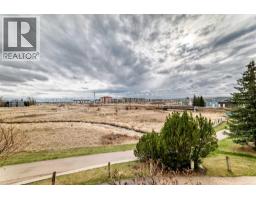 223, 305 1 Avenue Nw, Airdrie, AB T4B2M5 Photo 14