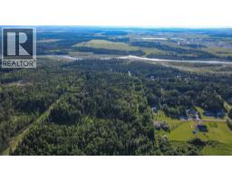 12, 32479 Highway 760  E, Rural Mountain View County, AB T0M1X0 Photo 40