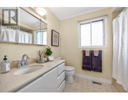 11 Swordbill Drive, Toronto, ON M9A4V3 Photo 16