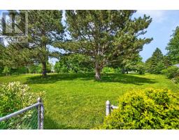 11 Swordbill Drive, Toronto, ON M9A4V3 Photo 45