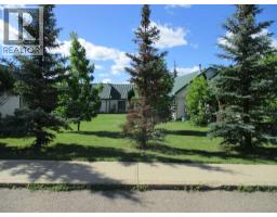 440 Main Street Ne, Manning, AB T0H2M0 Photo 12