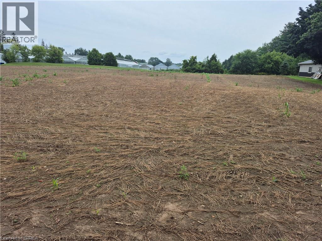 1 SEVENTH CONCESSION Road, Burford — photo 2