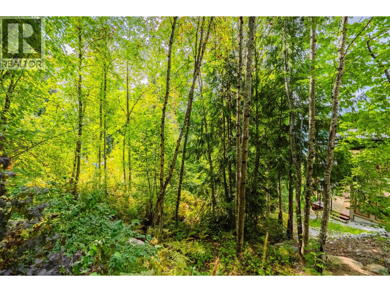 1409 Ash Street - 71