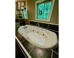 4019 Saunders Road, Passmore, BC V0G2J0 Photo 11