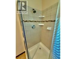 4019 Saunders Road, Passmore, BC V0G2J0 Photo 15