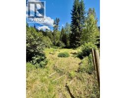 4019 Saunders Road, Passmore, BC V0G2J0 Photo 21
