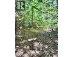 4019 Saunders Road, Passmore, BC V0G2J0 Photo 24