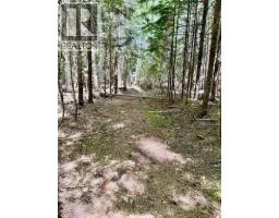 4019 Saunders Road, Passmore, BC V0G2J0 Photo 25
